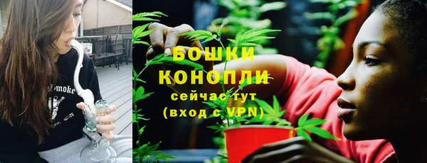 ГАЛЛЮЦИНОГЕННЫЕ ГРИБЫ Бронницы