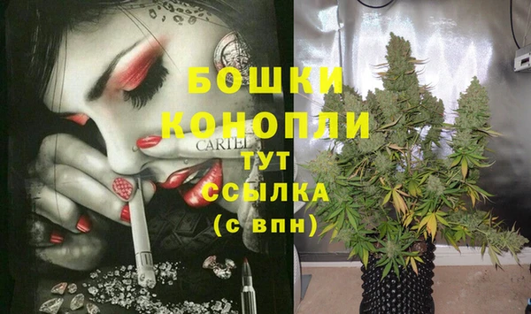 ГАЛЛЮЦИНОГЕННЫЕ ГРИБЫ Бронницы